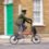 Bicicleta Plegable – Comparativa